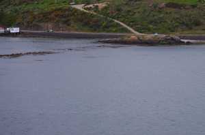 HARINGTON-POINT-DUNEDIN (18)